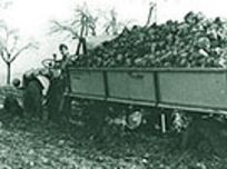1953: Two Way Discharge Dumper with drive axle